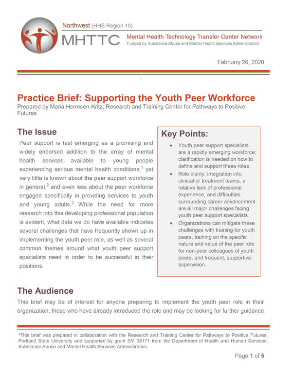 Practice Brief: Supporting the Youth Peer Workforce