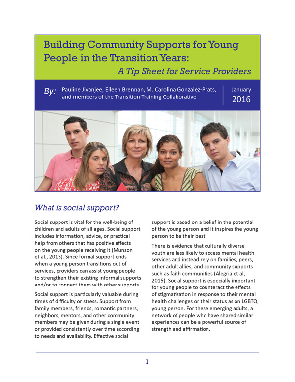 Building Community Supports for Young People in the Transition Years