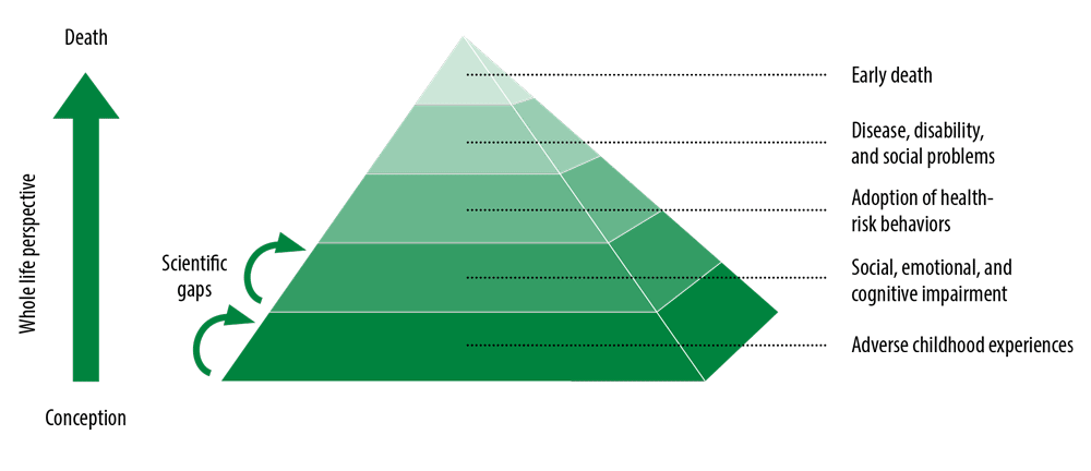 Figure 1. The ACE Pyramid