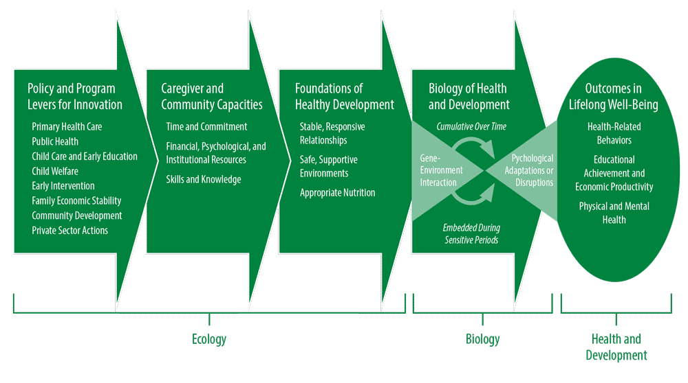 Figure 2. An Ecobiological Framework for Early Childhood Policies and Programs