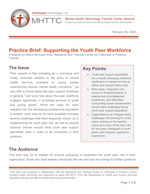 'Supporting the Youth Peer Workforce' cover [enable images to see]