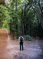 young person standing at crossroads [enable images to see]