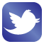 Twitter Icon - Follow Pathways RTC on Twitter